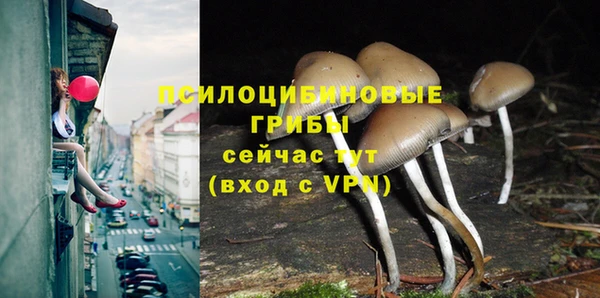 соль курить ск Нязепетровск
